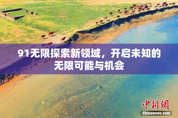 91无限探索新领域，开启未知的无限可能与机会