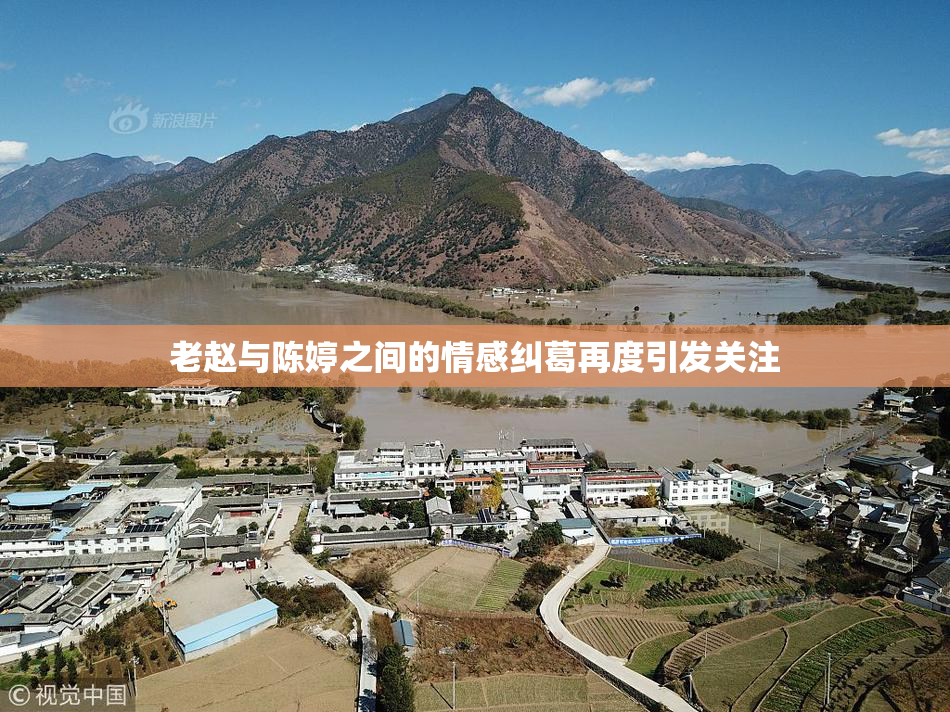 老赵与陈婷之间的情感纠葛再度引发关注
