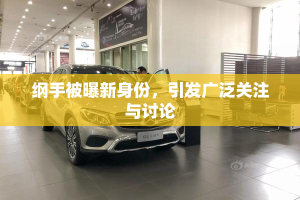 纲手被曝新身份，引发广泛关注与讨论