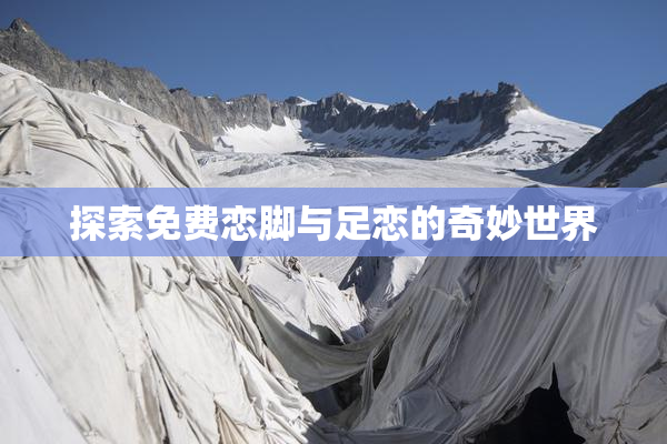 探索免费恋脚与足恋的奇妙世界