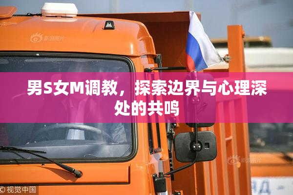 男S女M调教，探索边界与心理深处的共鸣