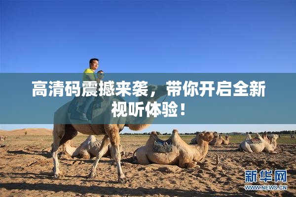高清码震撼来袭，带你开启全新视听体验！