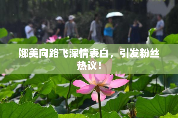 娜美向路飞深情表白，引发粉丝热议！
