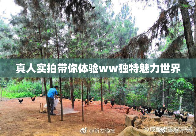 真人实拍带你体验ww独特魅力世界