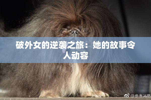 破外女的逆袭之旅：她的故事令人动容