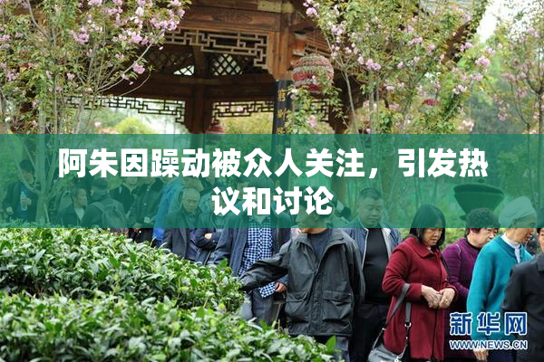 阿朱因躁动被众人关注，引发热议和讨论