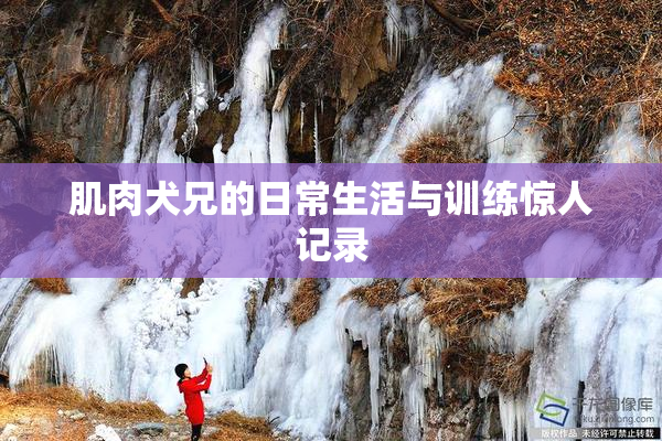 肌肉犬兄的日常生活与训练惊人记录