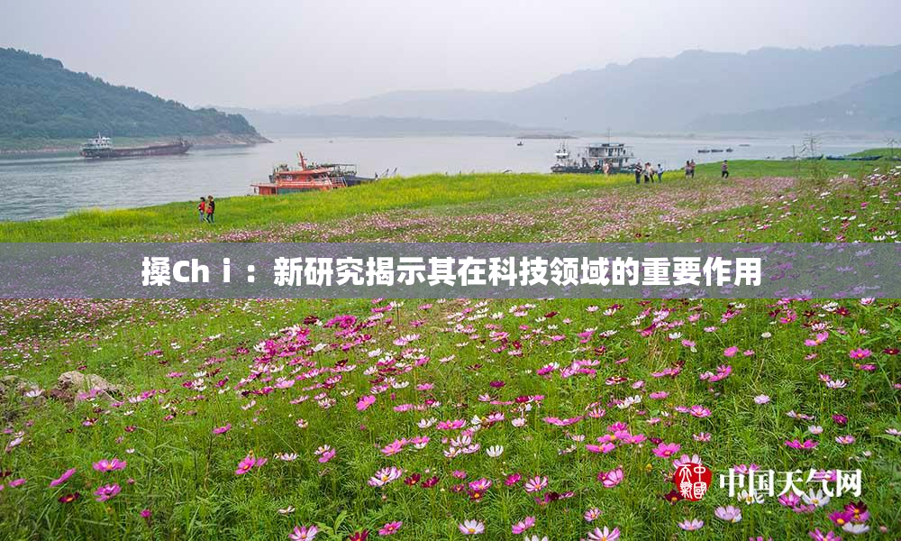 搡Chⅰ：新研究揭示其在科技领域的重要作用