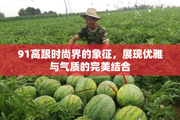 91高跟时尚界的象征，展现优雅与气质的完美结合