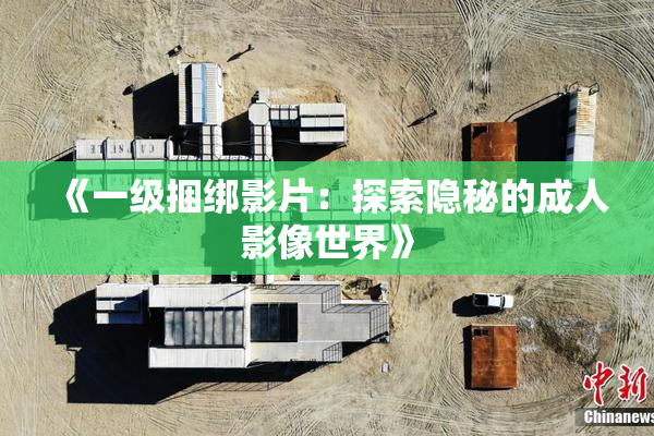 《一级捆绑影片：探索隐秘的成人影像世界》