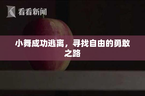 小舞成功逃离，寻找自由的勇敢之路