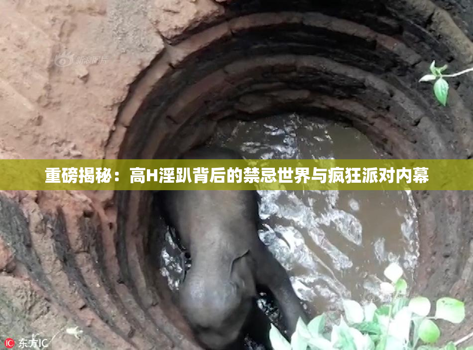 重磅揭秘：高H淫趴背后的禁忌世界与疯狂派对内幕