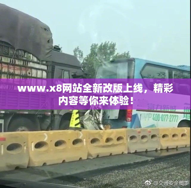 www.x8网站全新改版上线，精彩内容等你来体验！
