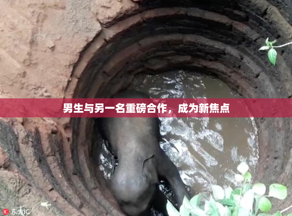 男生与另一名重磅合作，成为新焦点