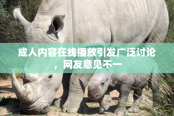 成人内容在线播放引发广泛讨论，网友意见不一