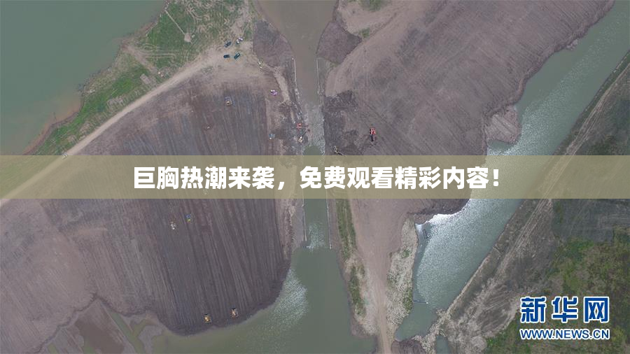 巨胸热潮来袭，免费观看精彩内容！