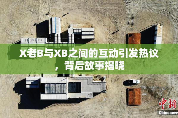 X老B与XB之间的互动引发热议，背后故事揭晓