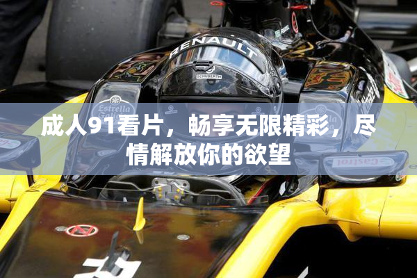 成人91看片，畅享无限精彩，尽情解放你的欲望