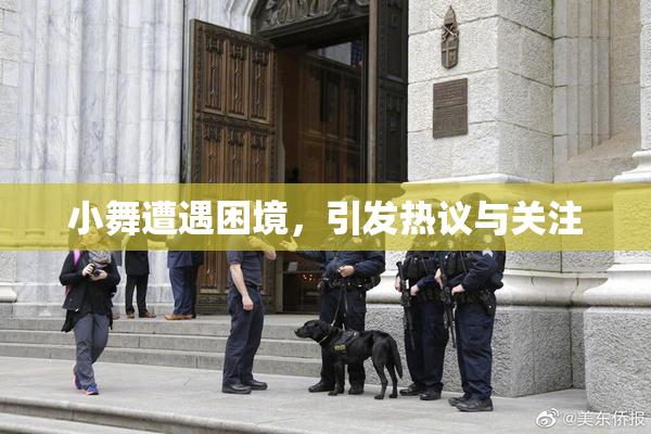 小舞遭遇困境，引发热议与关注