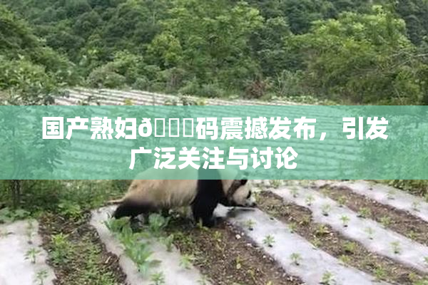 国产熟妇🈚码震撼发布，引发广泛关注与讨论