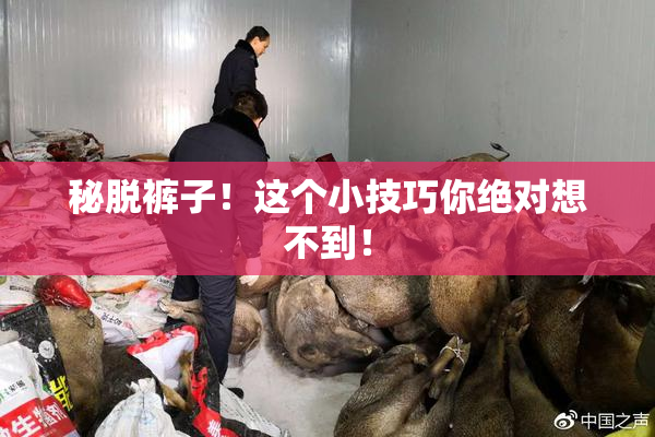 秘脱裤子！这个小技巧你绝对想不到！