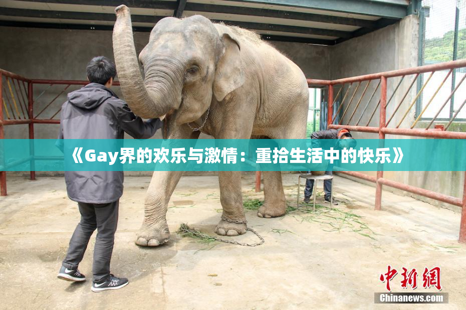 《Gay界的欢乐与激情：重拾生活中的快乐》