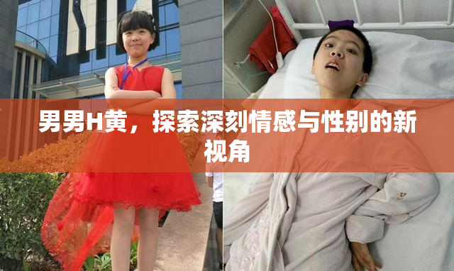 男男H黄，探索深刻情感与性别的新视角