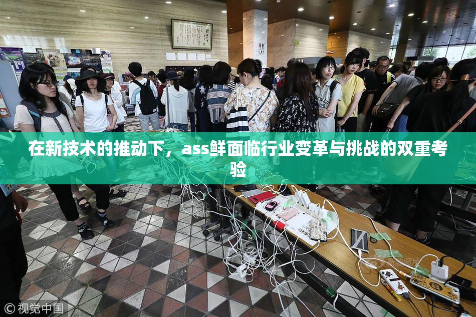 在新技术的推动下，ass鲜面临行业变革与挑战的双重考验