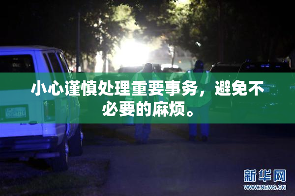 小心谨慎处理重要事务，避免不必要的麻烦。