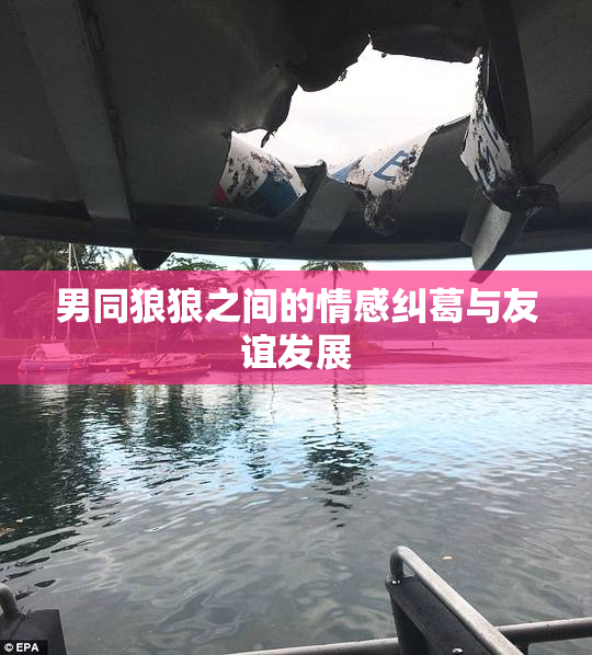 男同狼狼之间的情感纠葛与友谊发展