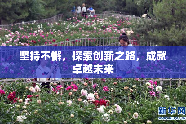 坚持不懈，探索创新之路，成就卓越未来