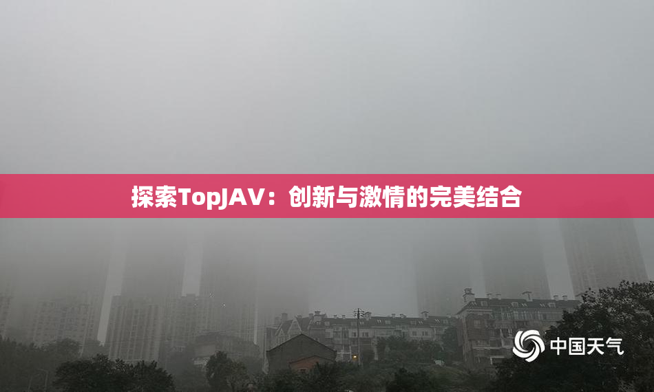 探索TopJAV：创新与激情的完美结合