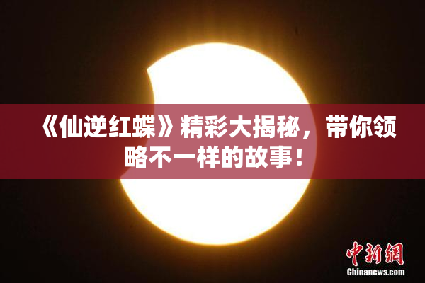《仙逆红蝶》精彩大揭秘，带你领略不一样的故事！
