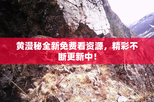 黄漫秘全新免费看资源，精彩不断更新中！