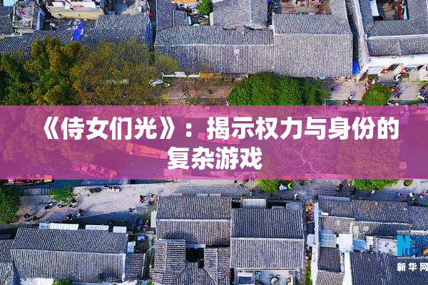 《侍女们光》：揭示权力与身份的复杂游戏
