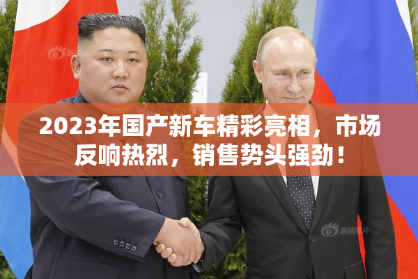 2023年国产新车精彩亮相，市场反响热烈，销售势头强劲！
