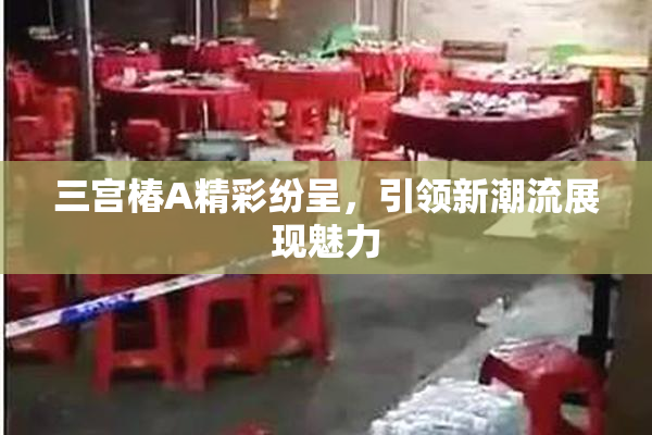 三宫椿A精彩纷呈，引领新潮流展现魅力