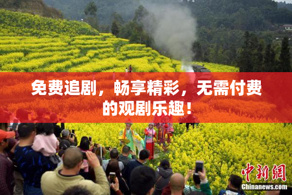 免费追剧，畅享精彩，无需付费的观剧乐趣！