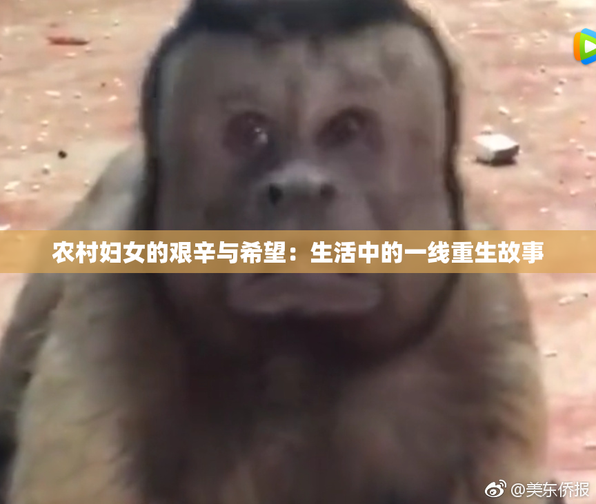 农村妇女的艰辛与希望：生活中的一线重生故事