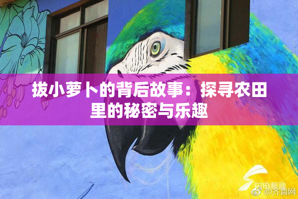 拔小萝卜的背后故事：探寻农田里的秘密与乐趣