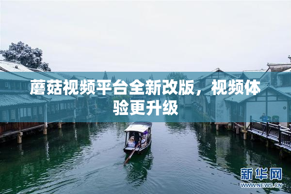 蘑菇视频平台全新改版，视频体验更升级