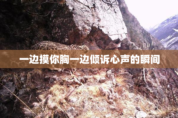 一边摸你胸一边倾诉心声的瞬间