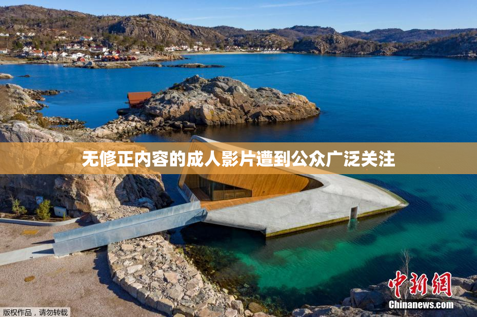 无修正内容的成人影片遭到公众广泛关注