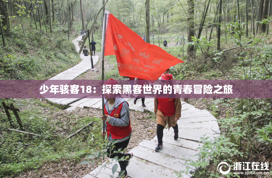 少年骇客18：探索黑客世界的青春冒险之旅