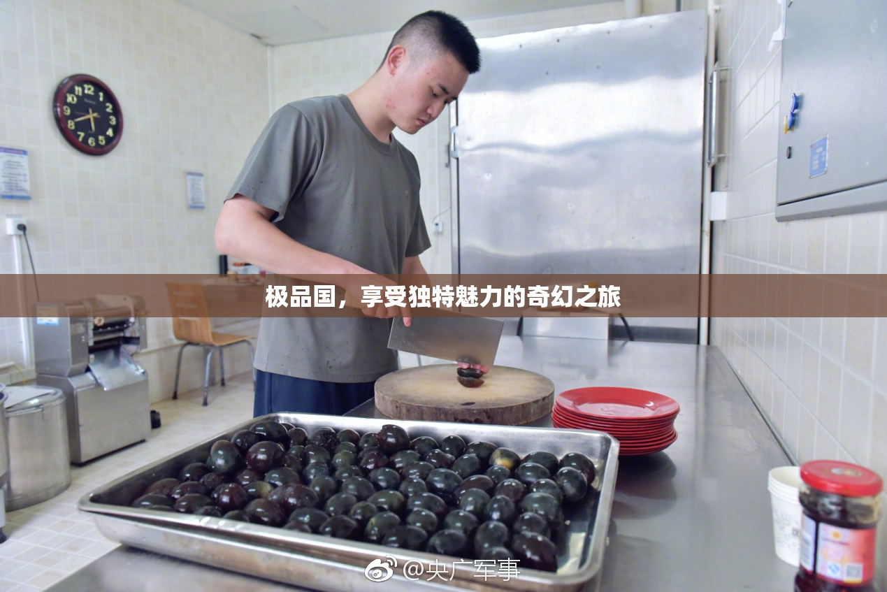 极品国，享受独特魅力的奇幻之旅