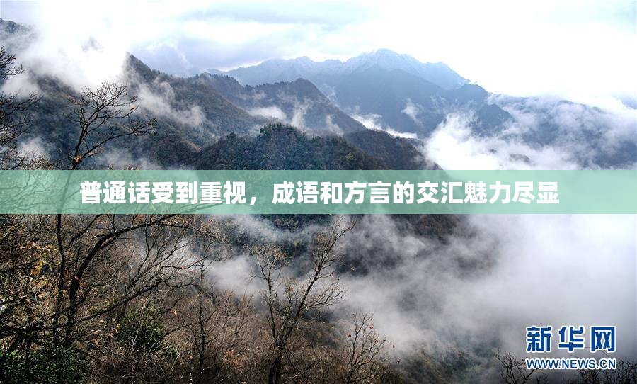 普通话受到重视，成语和方言的交汇魅力尽显