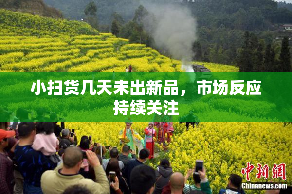 小扫货几天未出新品，市场反应持续关注