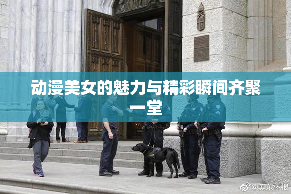 动漫美女的魅力与精彩瞬间齐聚一堂