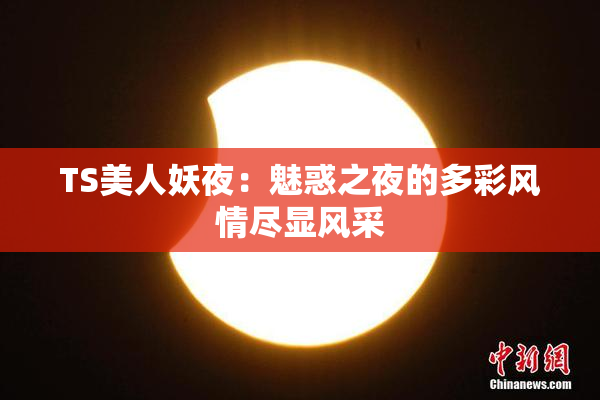 TS美人妖夜：魅惑之夜的多彩风情尽显风采
