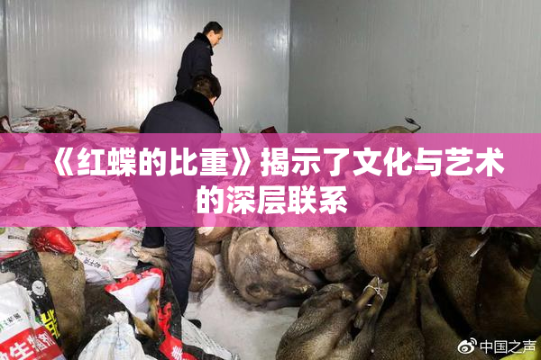 《红蝶的比重》揭示了文化与艺术的深层联系